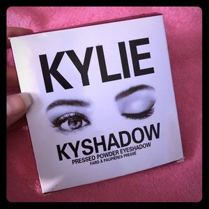 Kylie’s burgundy palette.